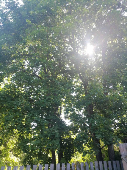 Мыс Надежды.