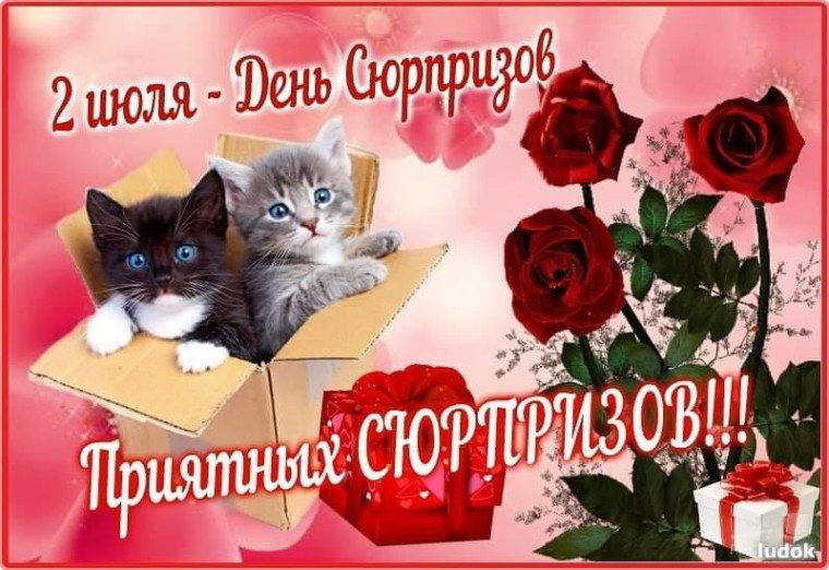 День сюрпризов.