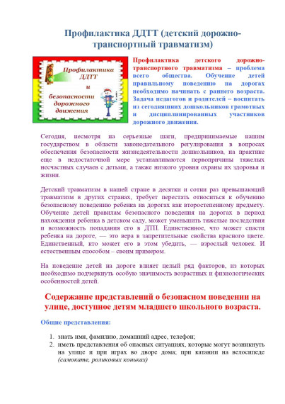 Профилактика ДДТТ.